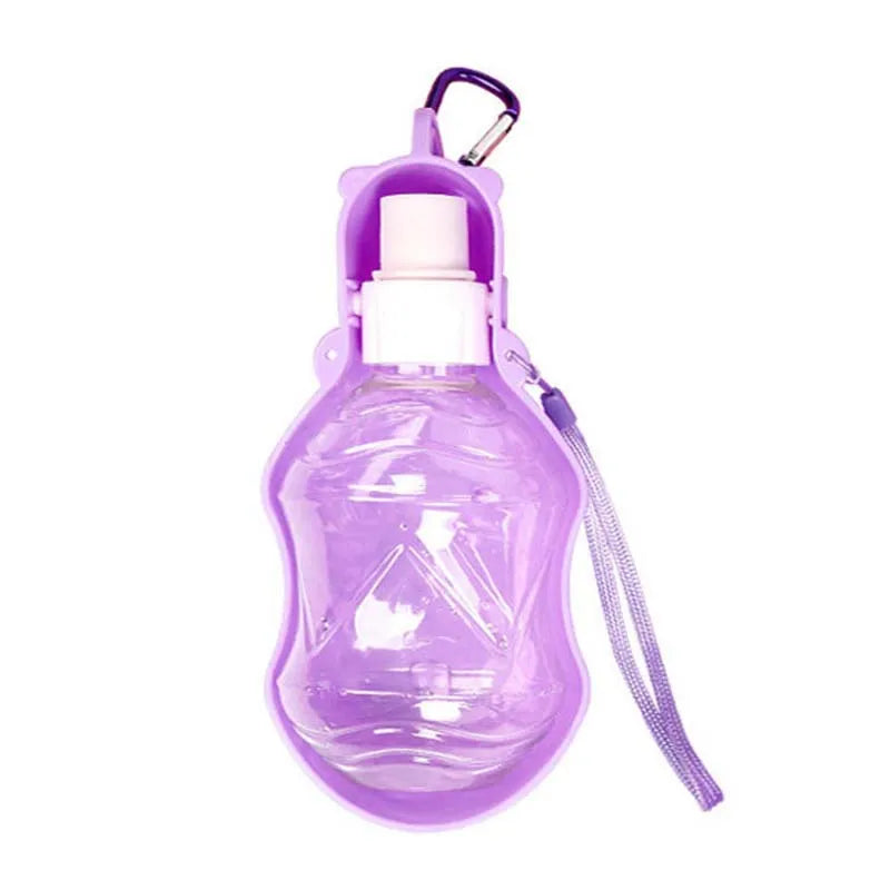 Portable Water Bottle