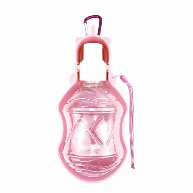 Portable Water Bottle