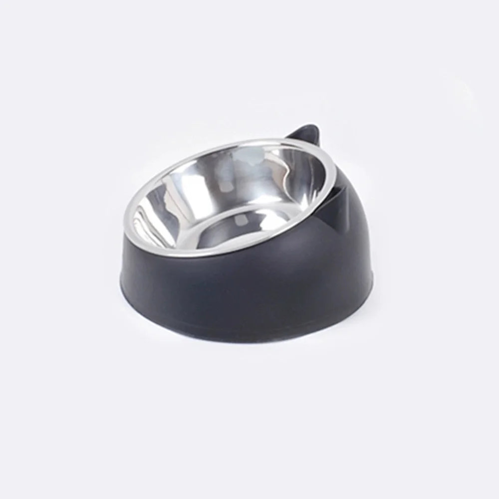 Raised Non-Slip Bowl