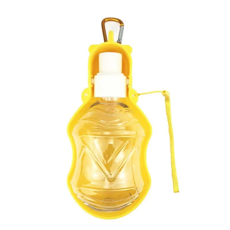 Portable Water Bottle