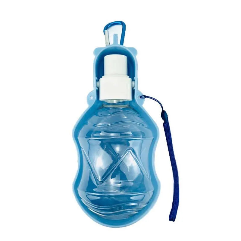Portable Water Bottle