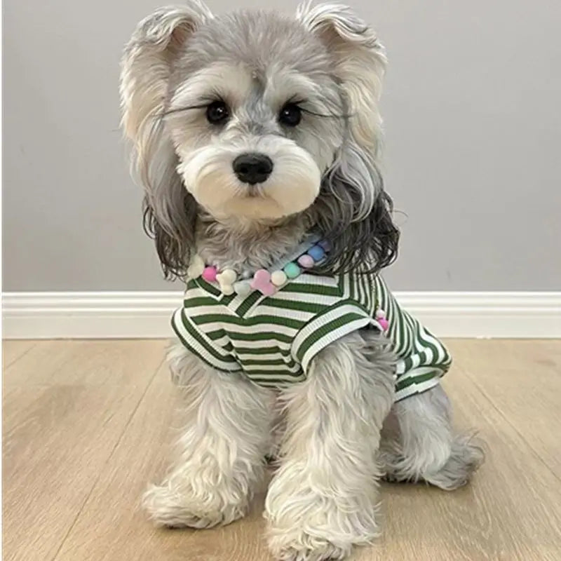 Stretch Pet Vests