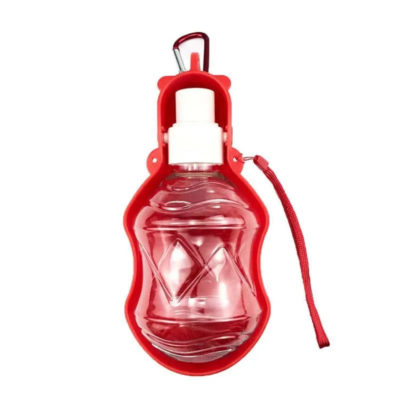 Portable Water Bottle